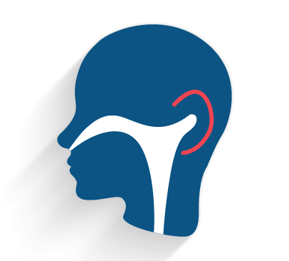Otorhinolaryngology